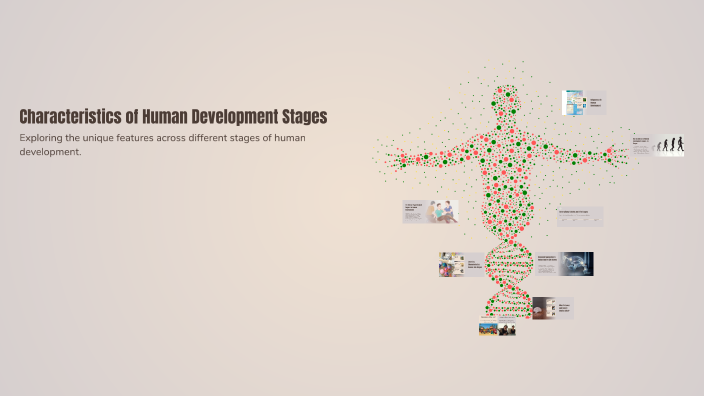 Characteristics of Human Development Stages by Tsoogii Tsogzo on Prezi
