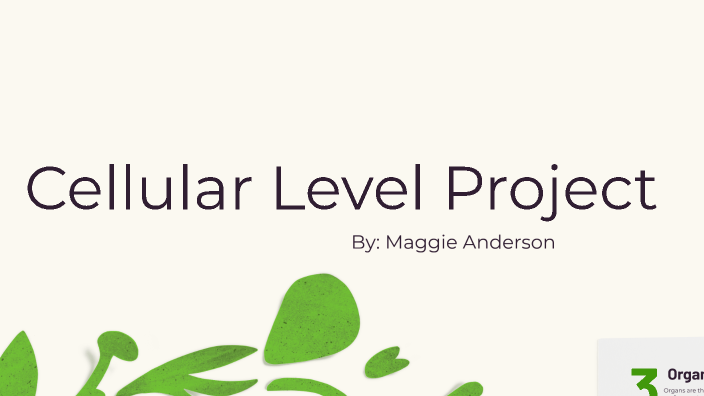 Animal Cells by Maggie Anderson on Prezi