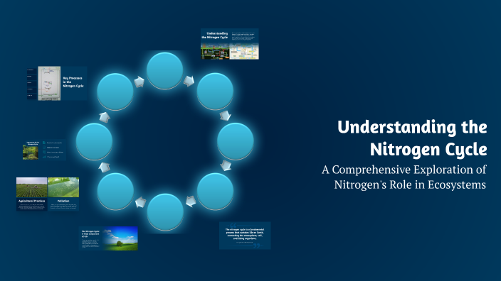 Understanding the Nitrogen Cycle by Morgan K on Prezi
