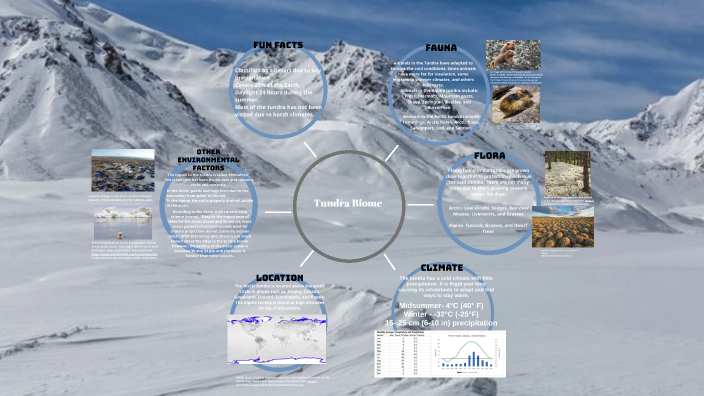 biome-concept-map-by-jada-wilder