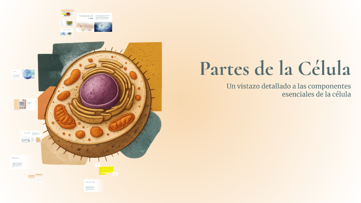 Partes de la Célula by Daniel Lopez on Prezi