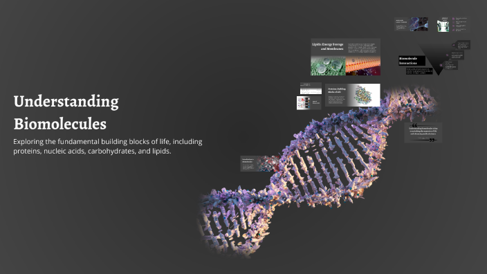 Understanding Biomolecules by 12. Fricylia Yohana Careel Tambunan on Prezi