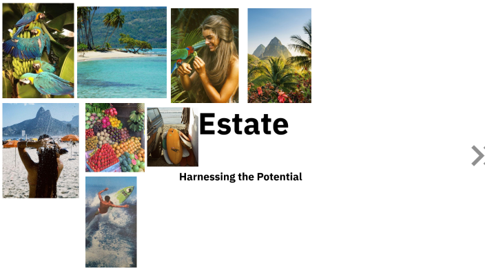 The Power of Visualization by Aya Mouhti on Prezi
