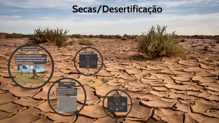 Causas e consequências de seca by Catarina Couto on Prezi