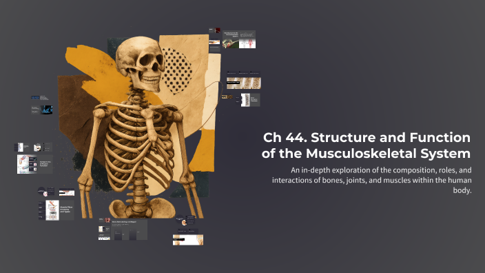 Structure and Function of the Musculoskeletal System by Yuliya Maryan ...