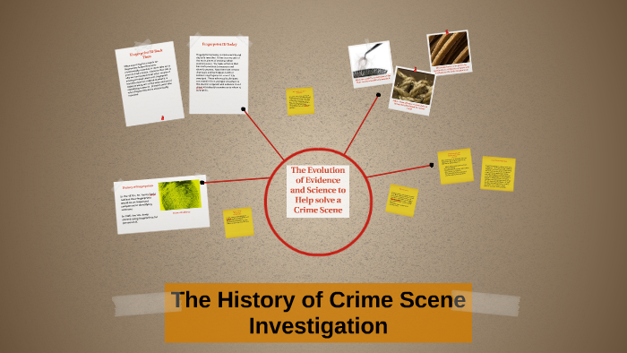 The History Of Crime Scene Investigation By BreeAnn Reiner