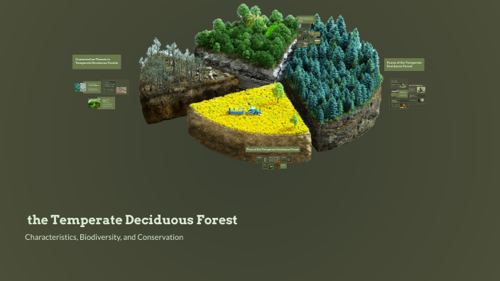 Exploring the Temperate Deciduous Forest by Ethan Mack on Prezi