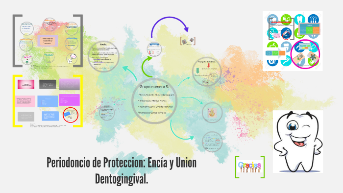 Periodoncio De Proteccion By Denis Chinchilla On Prezi