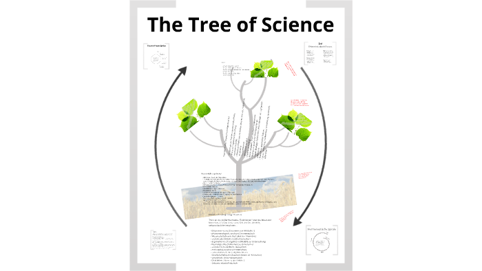 Integratives Modell Tree of Science by Axel Schmid on Prezi