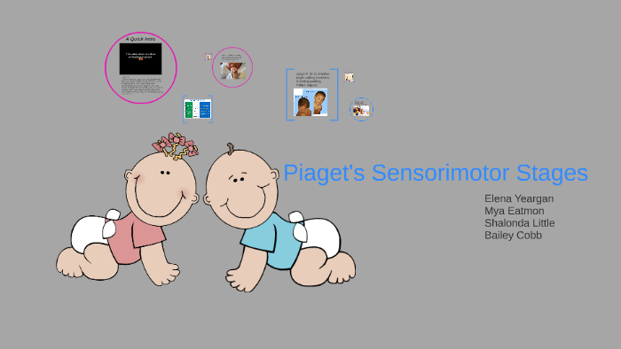 sensory motor stages