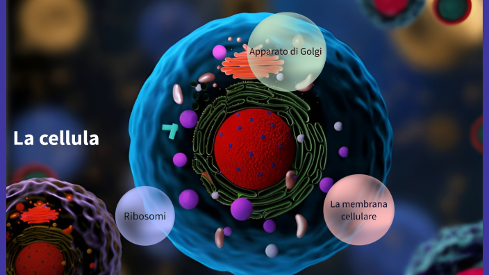 La cellula by D. Ant1972 on Prezi