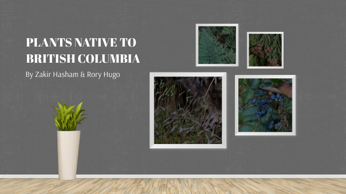 plants-native-to-british-columbia-by-zakir-hasham-on-prezi