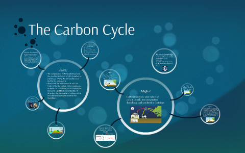 The Carbon Cycle by Jonathan Castaneda on Prezi