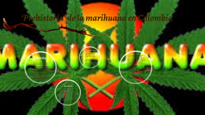 Historia De La Marihuana By Edwin Ardila On Prezi