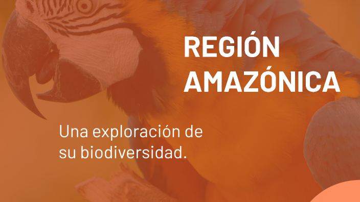 REGIÓN AMAZONICA by Sebastian Castaño on Prezi