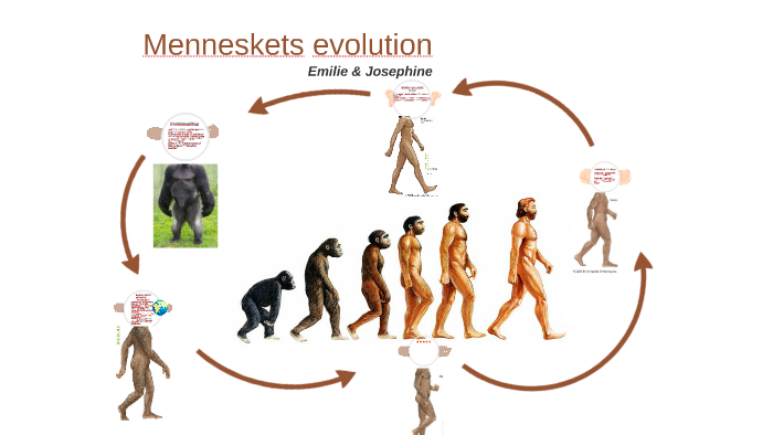 Menneskets evolution by Emilie Ærenlund on Prezi