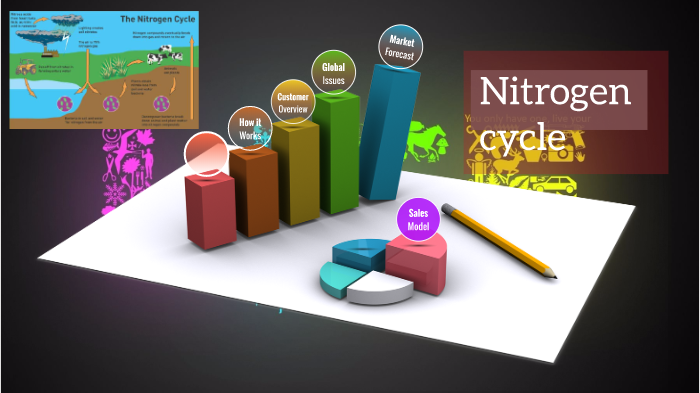 Nitrogen Cycle by ZACHARY AHRENS on Prezi