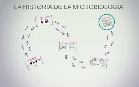 LA HISTORIA DE LA MICROBIOLOGÍA by Michelle Camara on Prezi