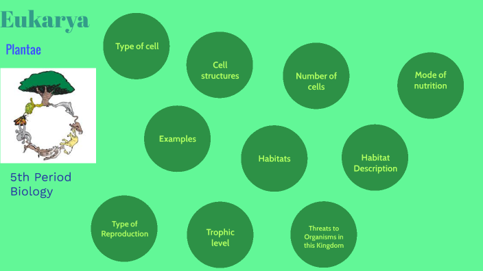 Eukarya: Plantae by Jade Quintana on Prezi