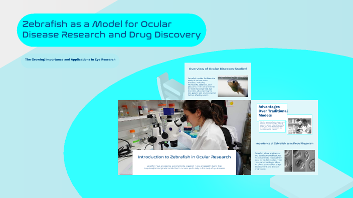 Zebrafish as a Model for Ocular Disease Research and Drug Discovery by ...
