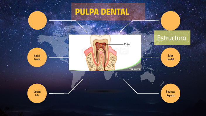 Pulpa Dentaria By Orlando Cruz Rodriguez On Prezi