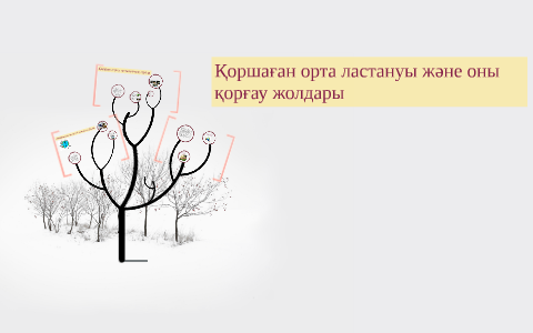 Тірі ағзалардың қоршаған орта жағдайларына бейімделуі презентация