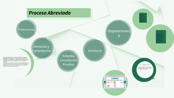 Proceso Abreviado By Luciana Lopez Tinoco