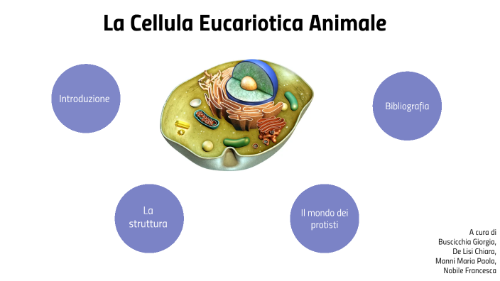 cellula eucariotica animale by Maria Paola Manni on Prezi