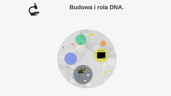 Budowa I Rola Kwasów Nukleinowych Budowa i rola kwasów nukleinowych by Beata Maria on Prezi