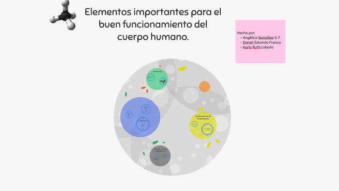 Elementos importantes para el buen funcionamiento del cuerpo by Angie