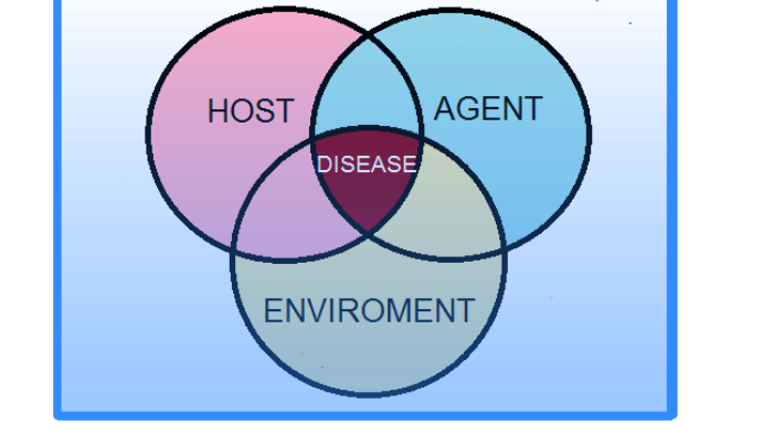 The Epidemiological Triad  Download Scientific Diagram