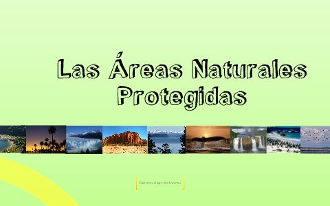 Áreas Naturales Protegidas En Argentina By PATRICIA CABRERA On Prezi