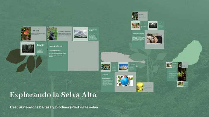 Explorando la Selva Alta by Yudith Hernandez on Prezi