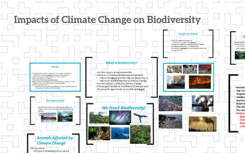 Impacts of Climate Change on Biodiversity by Rebecca Aguilera
