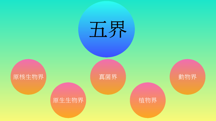五界 by 李琦 90803 on Prezi