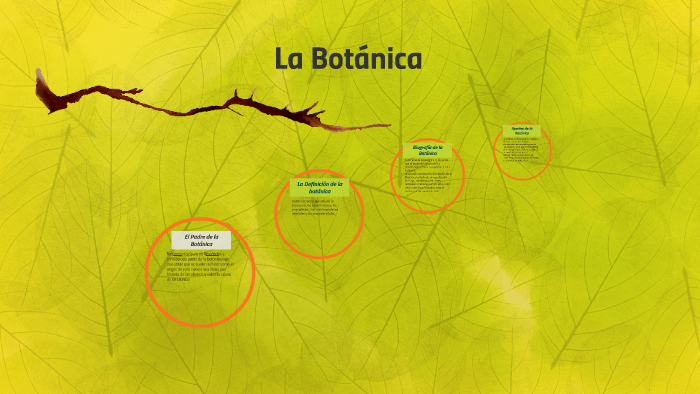 El Padre de la botanica by Markus Bustamante on Prezi