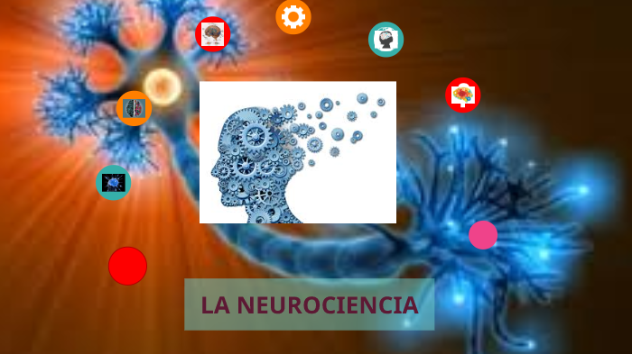 La Neurociencia by Mercedes Bolivar Patron on Prezi