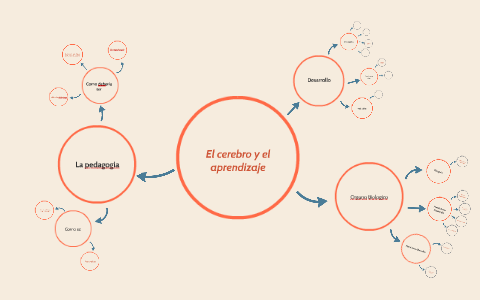 El cerebro dentro del aprendizaje by angela garcia on Prezi