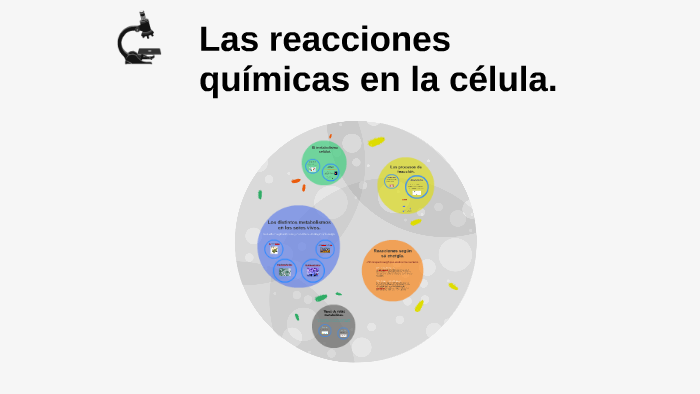 Conjunto De Reacciones Quimicas Que Ocurren En La Celula