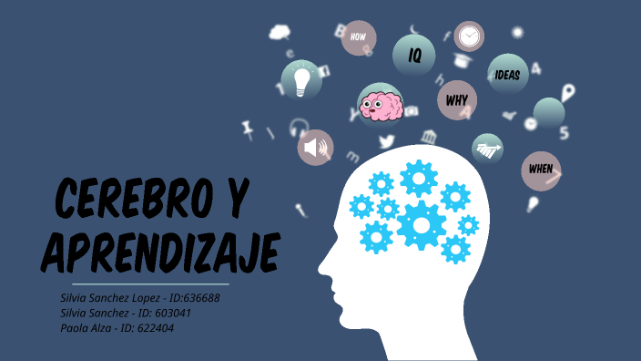 neurofisiología del aprendizaje by paola alza