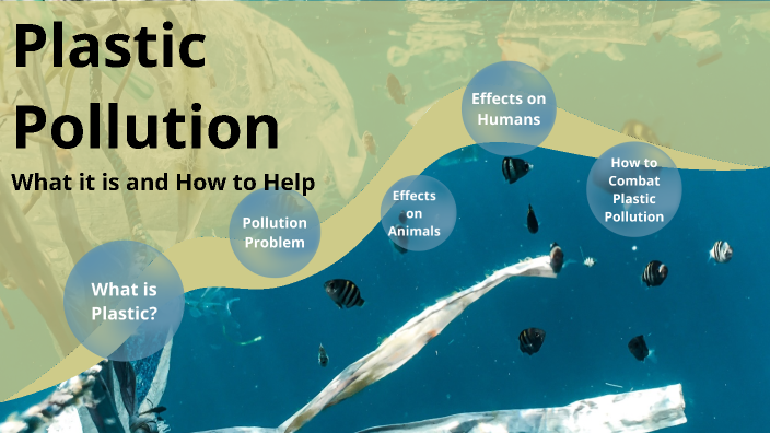 Plastic Pollution: What It Is And How To Help By Savanna Bivins On Prezi