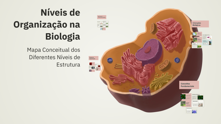 Níveis de Organização na Biologia by Larissa Aliás on Prezi