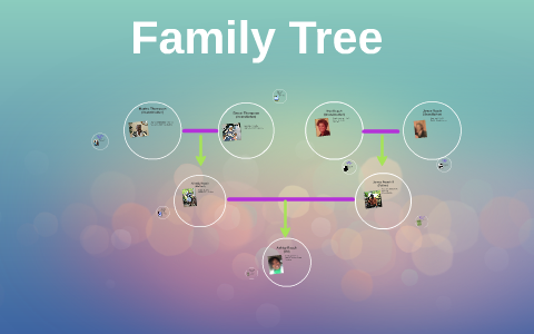 roach tree family