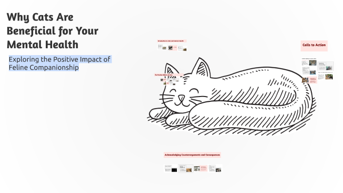 Cats And Mental Health: Boosting Well-being Naturally