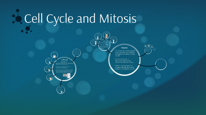 Cell Cycle and Mitosis by Eric Barnes on Prezi