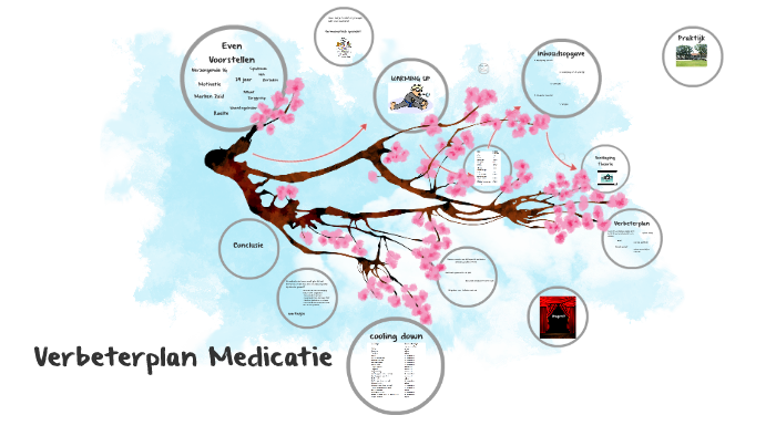 Verbeterplan Medicatie by elsemiek nijboer on Prezi