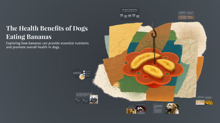 The Health Benefits of Dogs Eating Bananas by Klara Nettinga on Prezi