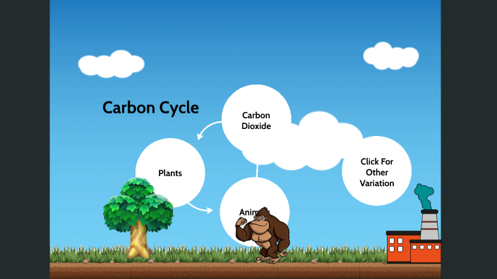 Carbon cycle by Levi Janz on Prezi