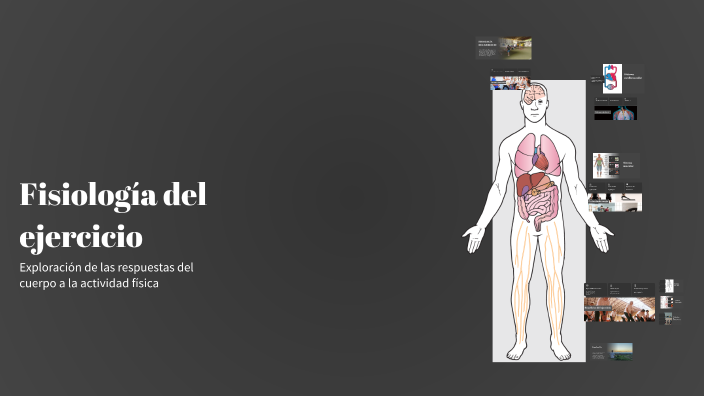 Fisiología del ejercicio by Bryan Juarez on Prezi