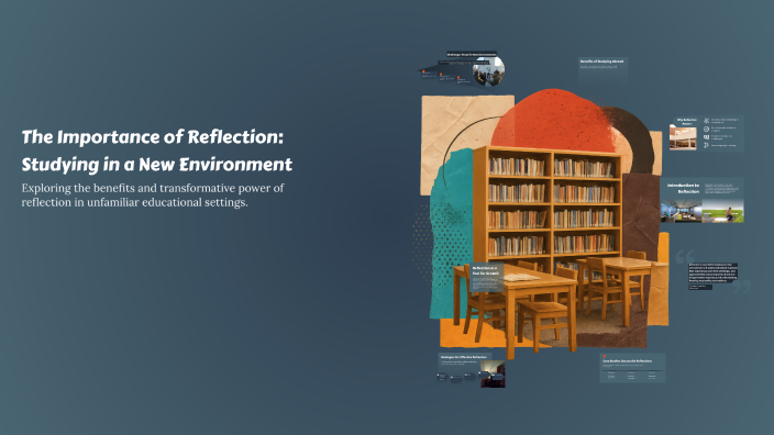 Reflected Environments The Importance of Reflection: Studying in a New Environment by Mona ...
